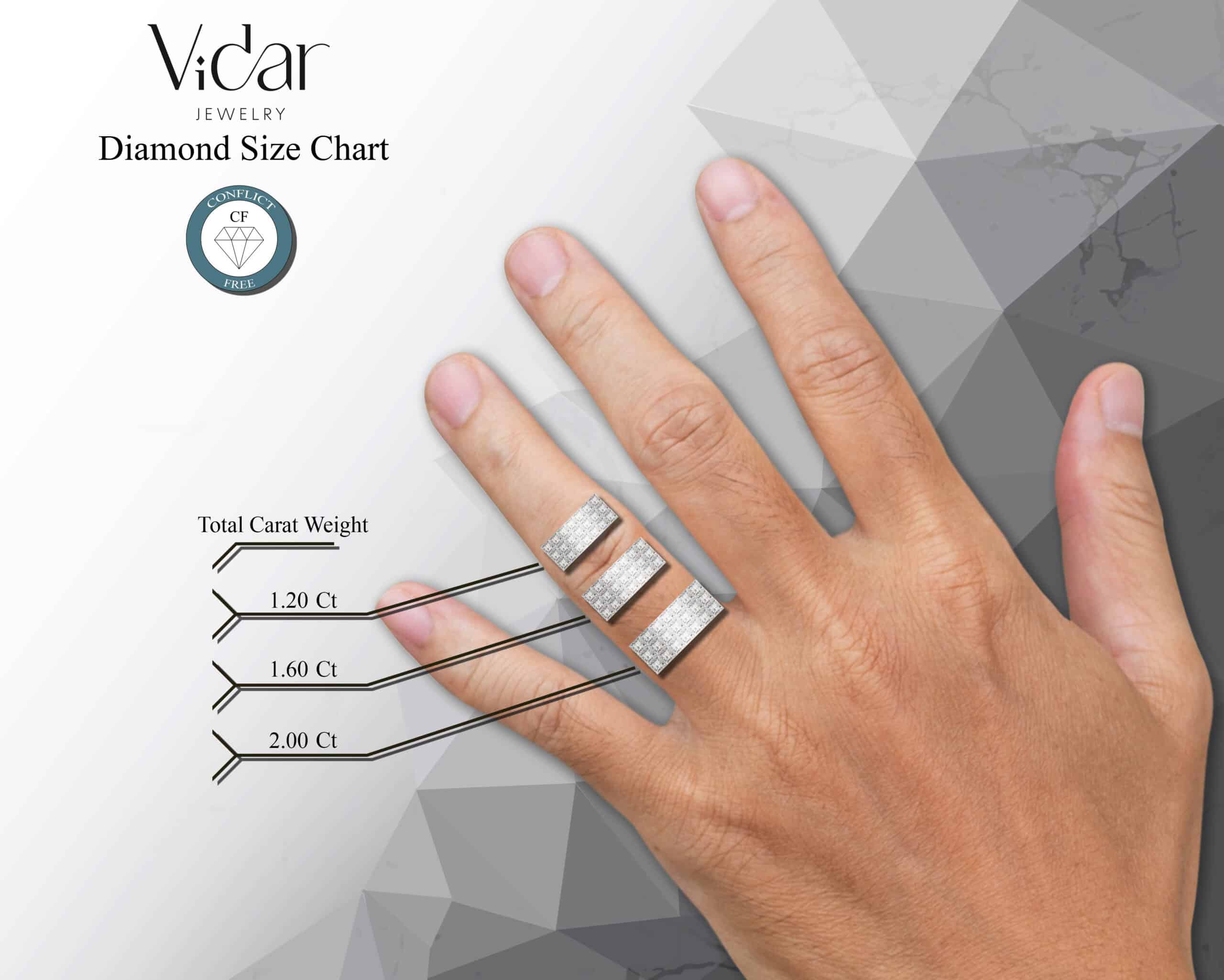 Pavlov Ring – view 5
