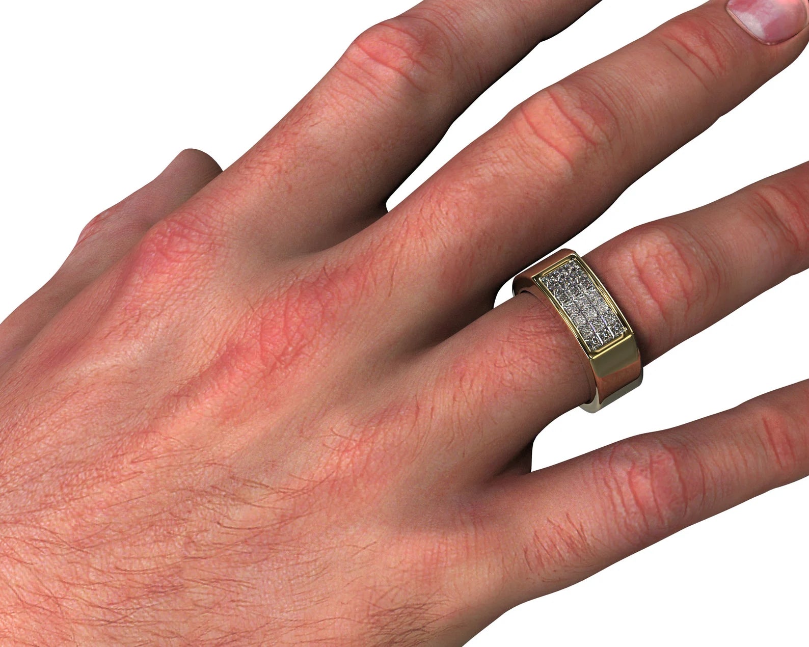 Pavlov Ring – view 2